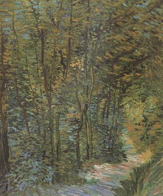 Vincent Van Gogh Path in the Woods (nn04) Germany oil painting art